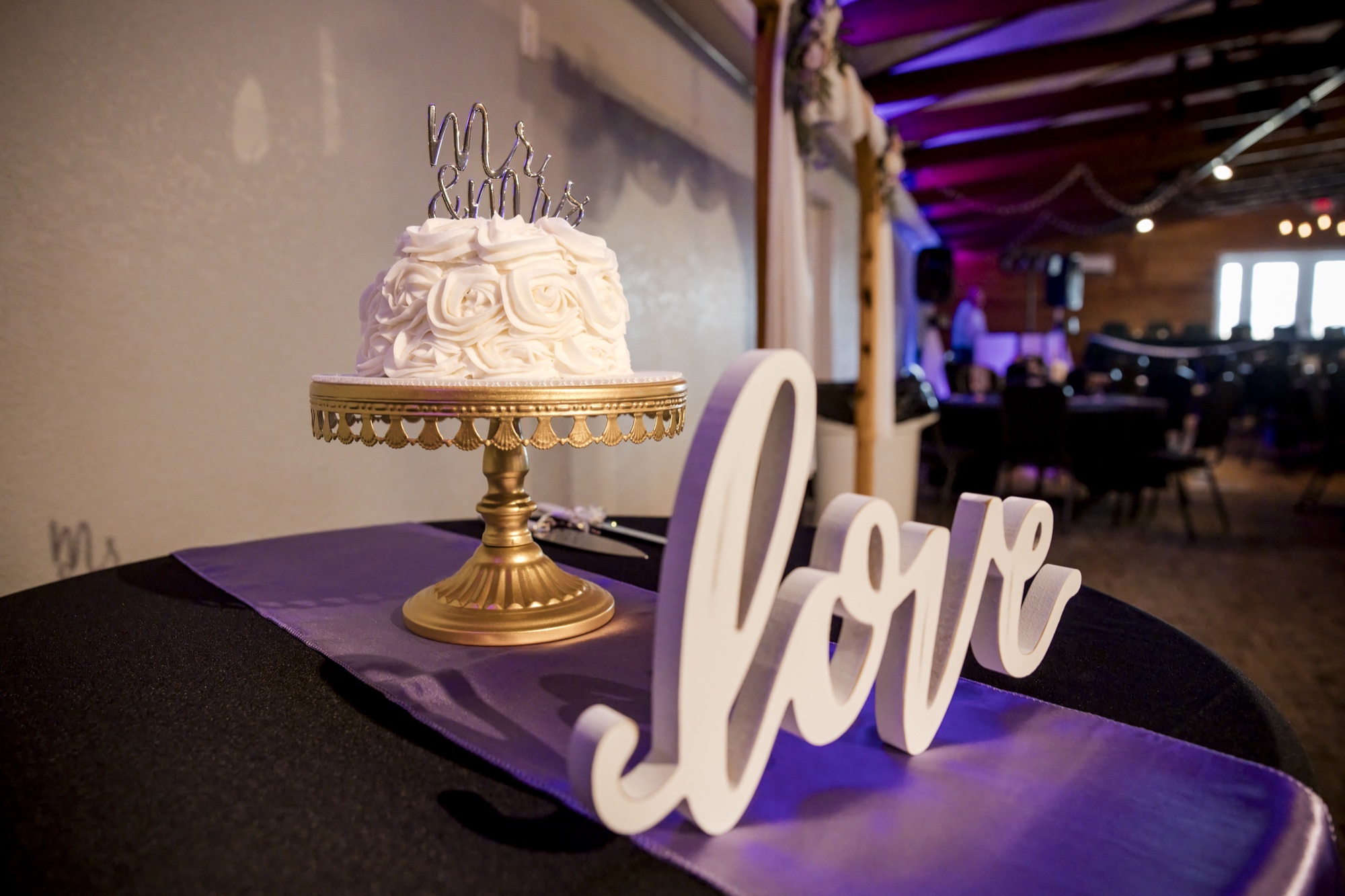Wedding photography in Northeast Iowa by Professionally Driven Productions, photo 6